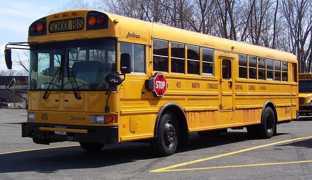 school-bus-citiford